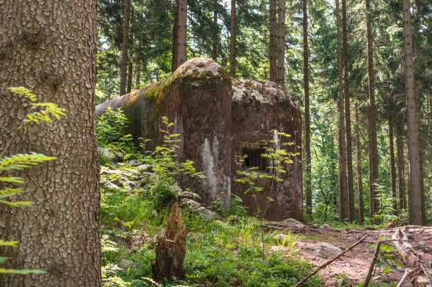istock Abandoned bunker hidden in the forest in Czech Republic 996160480