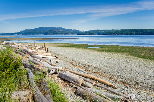 Pebble Beach with Driftwood on a Clear Summer Day. Some Mountain are Visible in Background. Campbell River, BC, Canada.