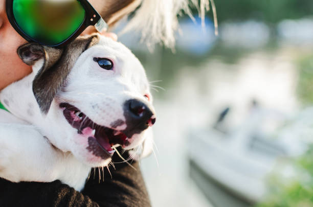 istock Woman and dog hugs 996165884