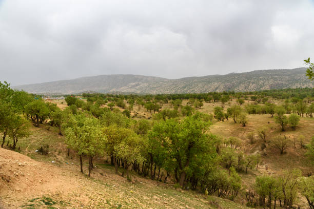 istock Nature landscape in Lorestan Province. Iran 996177690