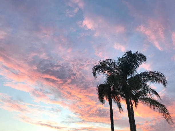 beautiful sunset
