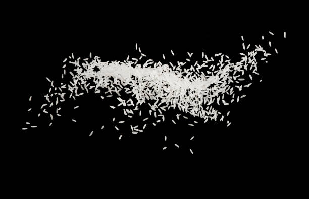 istock Stop motion white rice splash or explode flying in the air  isolated on black background food object design 996195644