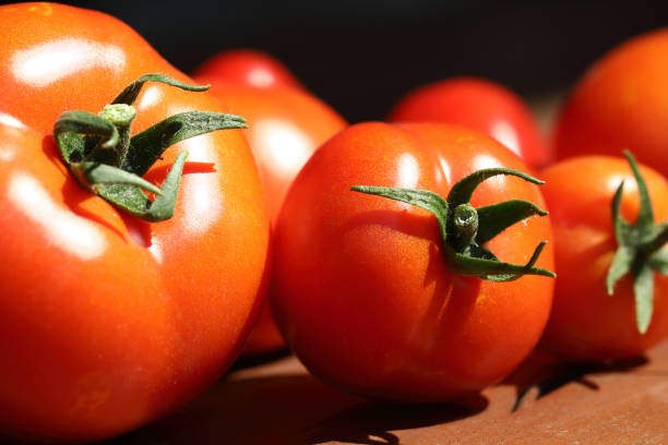 pomodori rossi, 
red tomatoes - gigifoto foto e immagini stock