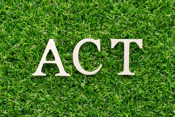 istock Wood alphabet in word act on artificial green grass background 996199768