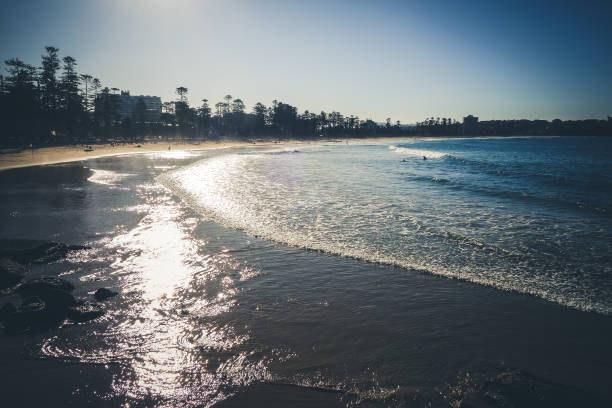 맨리 비치에서 일몰, 시드니, 호주 - manly beach summer beach pacific ocean 뉴스 사진 이미지