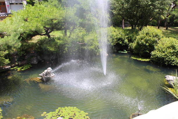 istock Ponds and Fountains 996202070