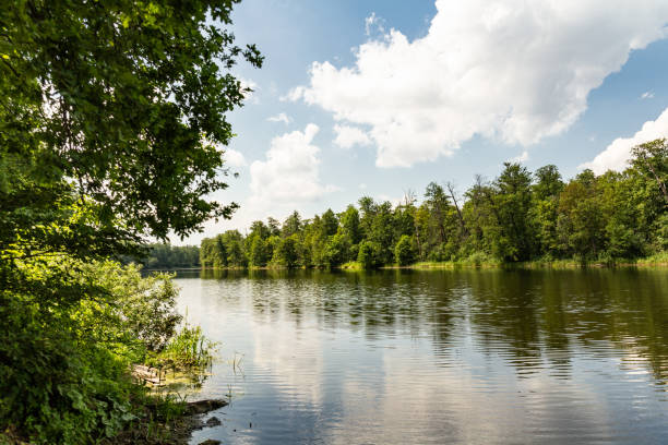 istock Lake in woodland 996225658