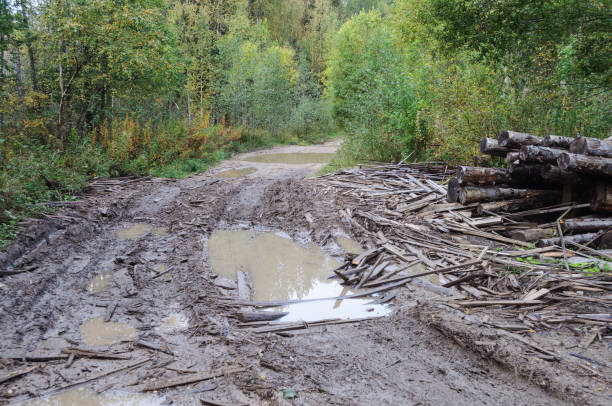 istock Big puddles on a dirt road 996226298