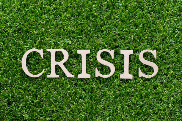 istock Wood alphabet in word crisis on artificial green grass background 996237362