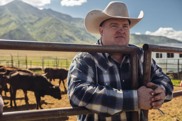 istock Day in the life of Utah ranchers 996244948