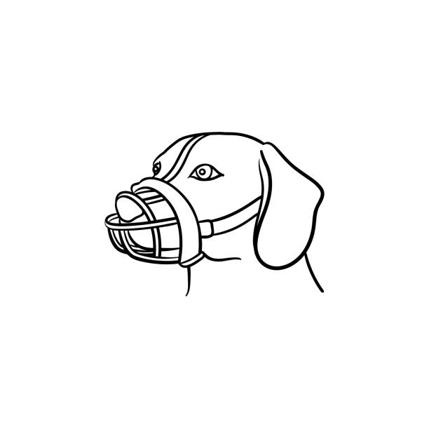 Dog with a muzzle hand drawn outline doodle icon Muzzled dog hand drawn outline doodle icon. Pets in city life, safe dog walking and training concept. Vector sketch illustration for print, web, mobile and infographics on white background. snout stock illustrations