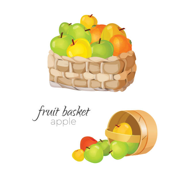 ilustrações de stock, clip art, desenhos animados e ícones de straw wicker basket with ripe and ruddy apples - basket apple wicker fruit