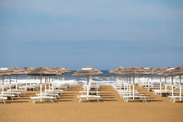 istock Summer beach withl umbrellas 996257102
