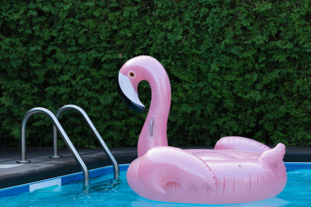 istock Large inflatable pink flamingo pool floating 996262098