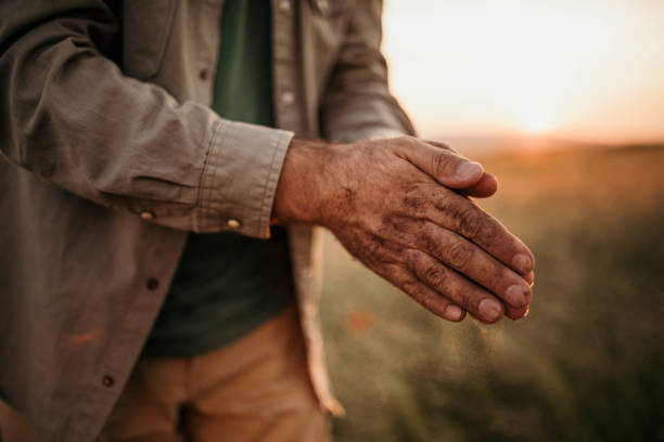 mãos do agricultor - farm worker - fotografias e filmes do acervo