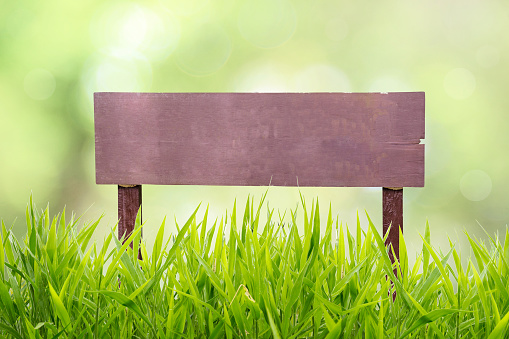 wooden signboard in the grass field