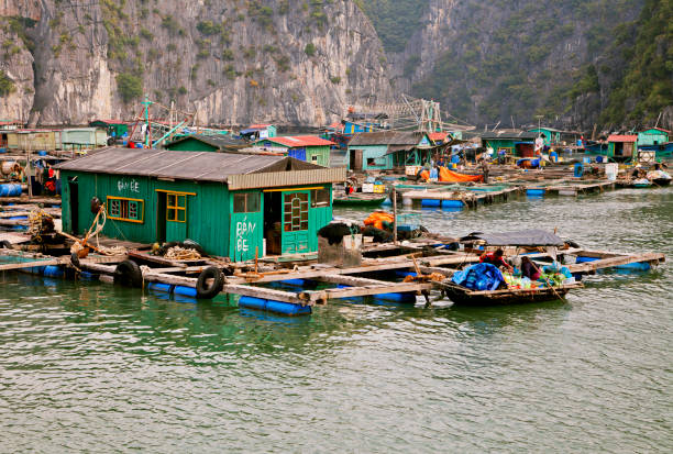 istock Floating village in Ha Long bay 996272732