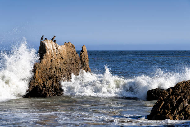 波が岩をクラッシュします。 - horizon over water malibu california usa ストックフォトと画像