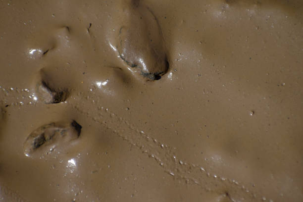 Wet Mud Background