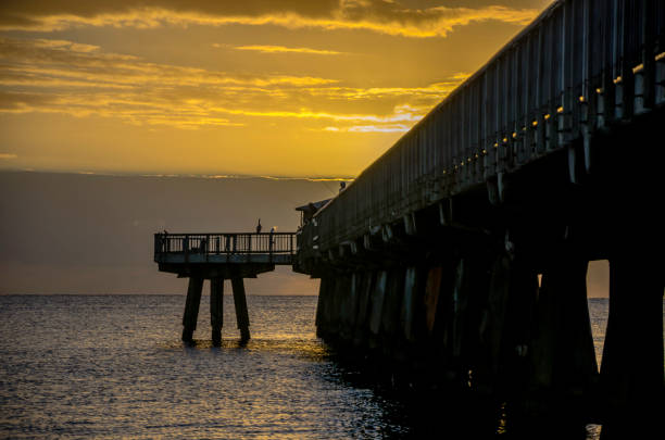 istock Pompano Beach Pier at sunrise with sun and Golden Clouds 996278676