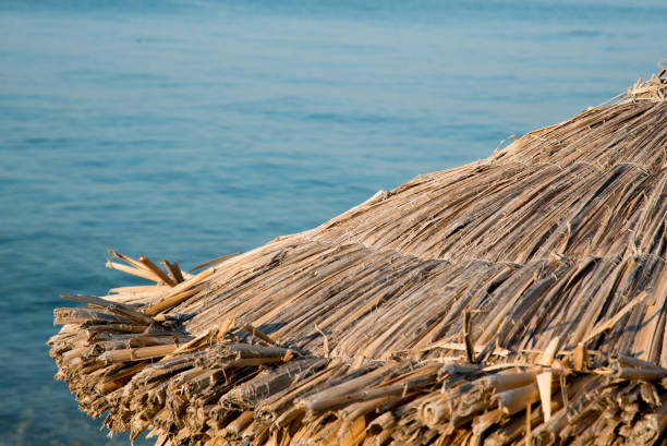 istock Wooden Straw Parasol 996279524