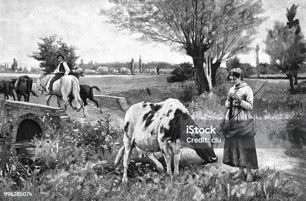 Young Woman Herding A Cow In The Pasture Stock Illustration - Download Image Now - Domestic Cattle, Farmer, Rural Scene