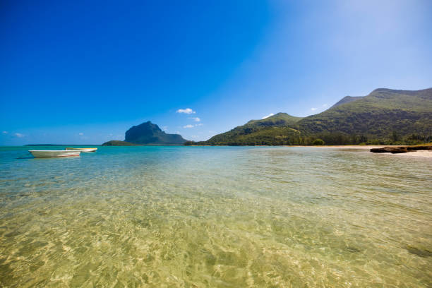 istock le morne peninsula dream beach on mauritius island, africa 996286178