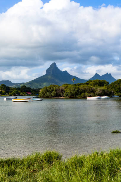 istock tamarin bay and rempart mountain, mauritius island 996288996