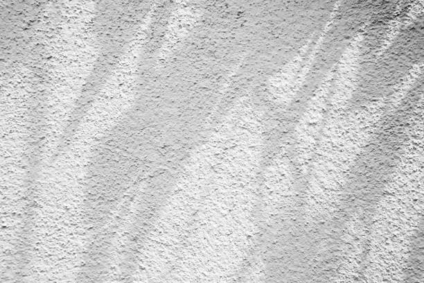 istock Black and White abstract background textuer of shadows leaf on a concrete wall 996289088