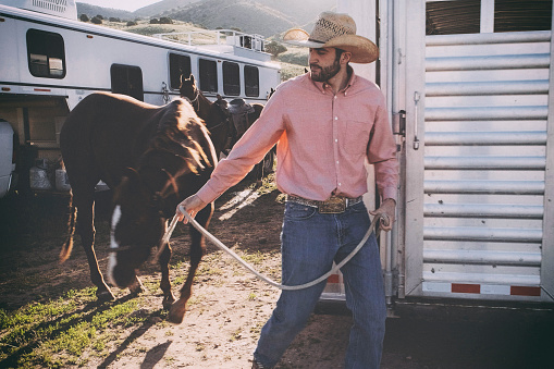 A rancher loads and unloads horses at a horse trailer.