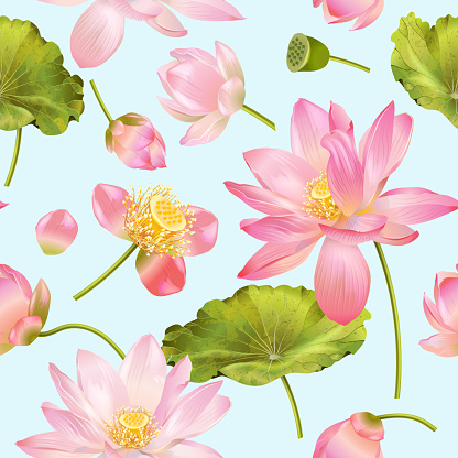 Vector botanical seamless pattern with pink lotus flowers. Design for natural cosmetics, health care and products, yoga center. Can be used as greeting card or wedding invitation. With place for text