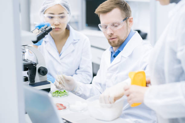 istock Team of Scientists Doing Research in Laboratory 996339946