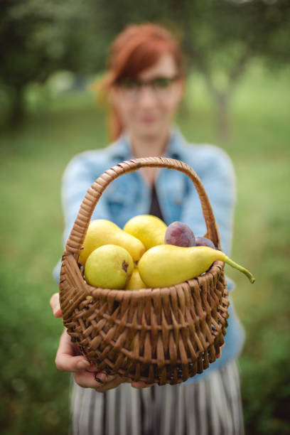 istock Basket full of health 996342314