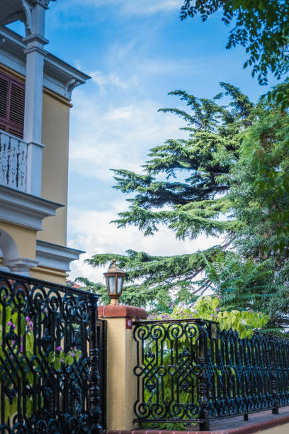 istock Colorful houses 996352588