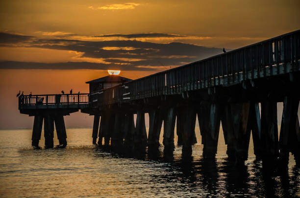istock Pompano Beach, FL Pier at Sunrise from the Shoreline view from the north side 996367904