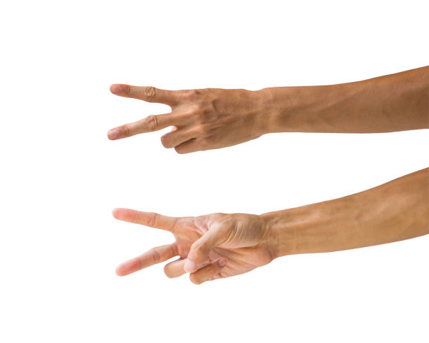 istock Clipping path hand gestures isolated on white background. Hand making number two sign or symbol gesture. Back and front hand gesture. 996369310