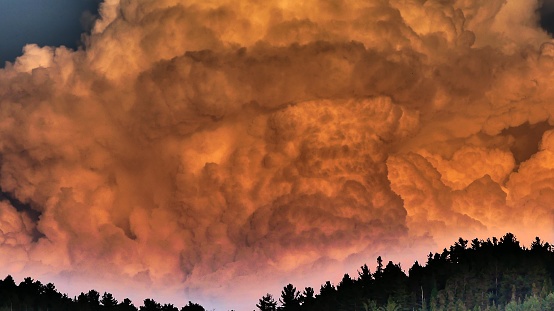 Cumulus congestus in close-up and orange-tinted by the setting sun