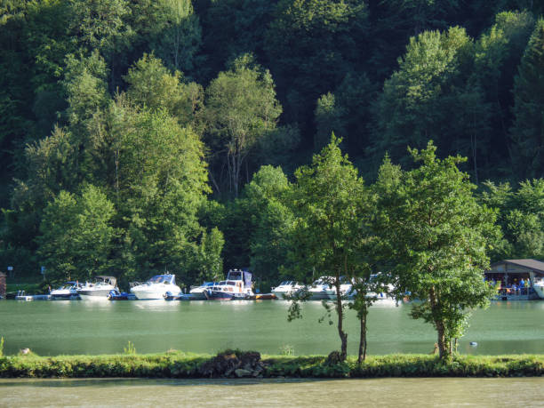 istock cruise on the river danube 996445608