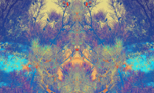 istock Digital background art made with photo collage technique. Natural elements used. 996448488