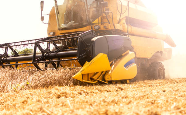 istock Combine harvester working on a wheat crop 996460342