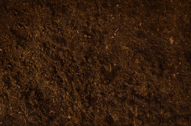 istock Fertile garden soil texture background top view 996461044