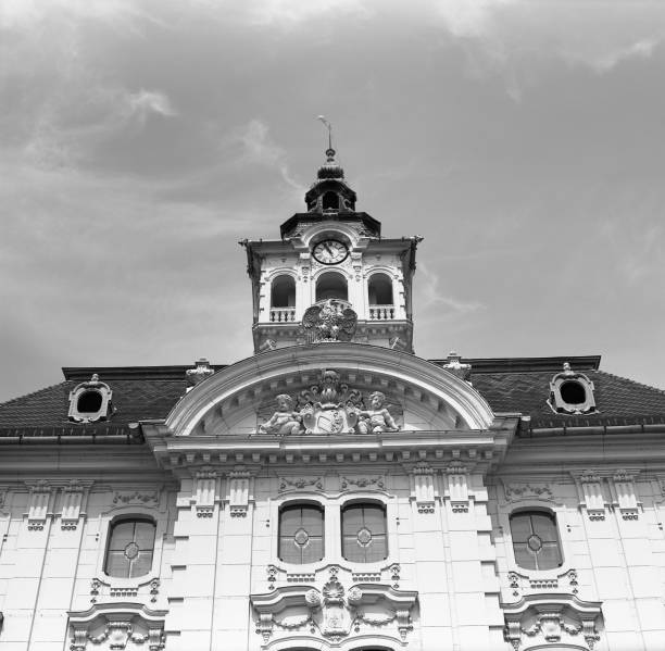 istock In The Front of City Hall 996461484