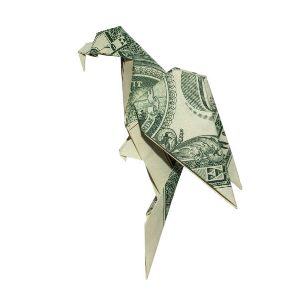 Money Origami PARROT Folded with Real One Dollar Bill Isolated on White Background