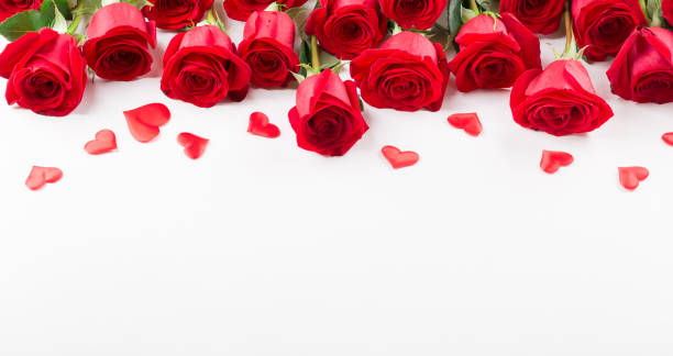 istock Plenty of red roses on white background 996471956