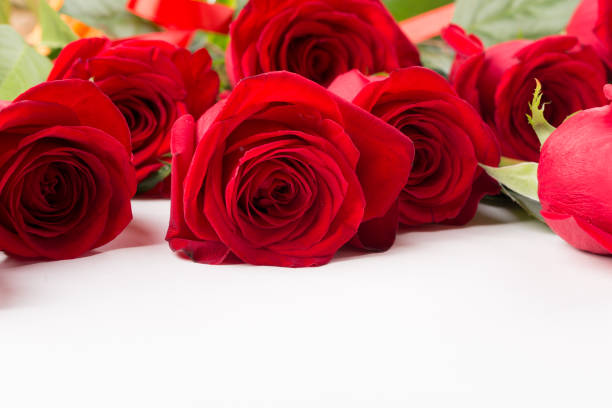 istock Plenty of red roses on white background 996472020
