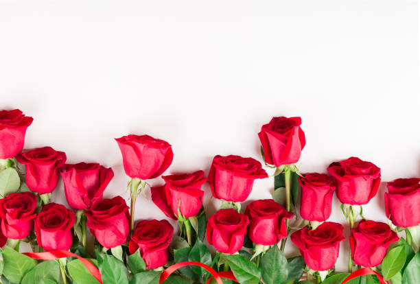 istock Plenty of red roses on white background 996472026