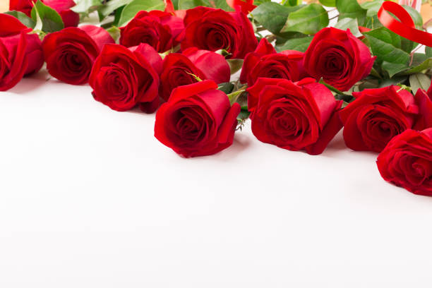 istock Plenty of red roses on white background 996472032