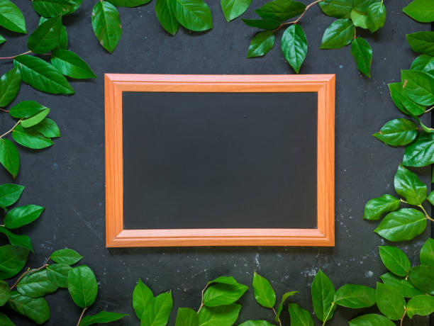 istock Summer nature frame with black chalkboard on dark background with green leaves 996472236