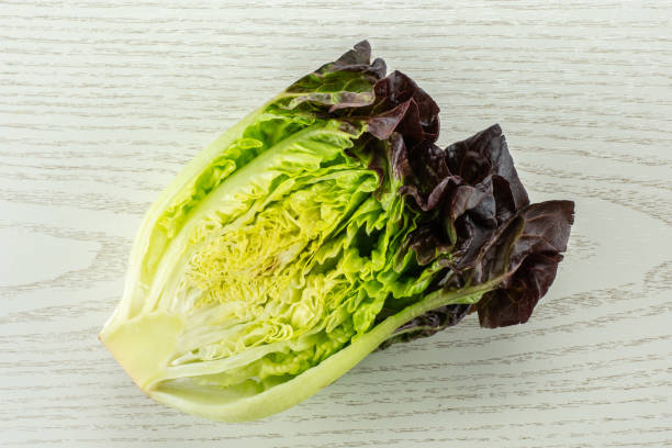 Fresh raw lettuce red little gem on grey wood