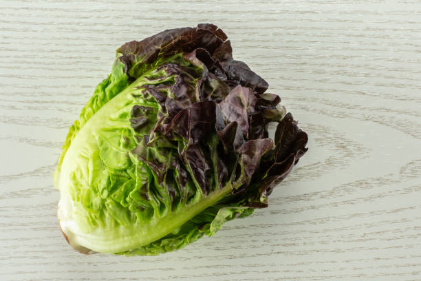 istock Fresh raw lettuce red little gem on grey wood 996475916